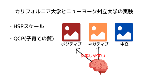 HSPの脳の反応を観察する実験